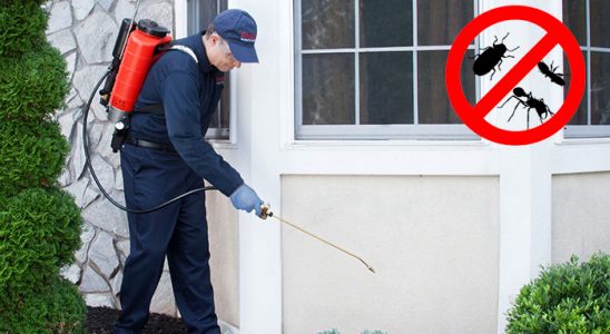 Silivri Kemirgen İlaçlama böcek ilaçlama ve haşere kontrolü — ilaclama-tr.com